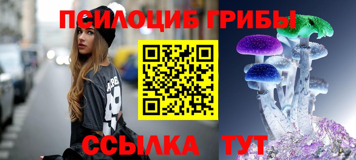 магазин  наркотиков  Галлюциногенные грибы Cubensis  Вход с VPN  Бугуруслан 
