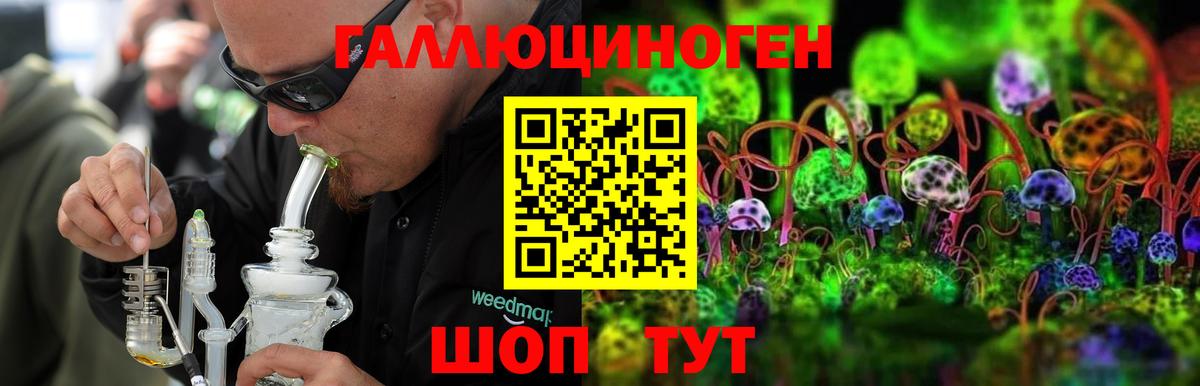Галлюциногенные грибы Psilocybine cubensis Бугуруслан